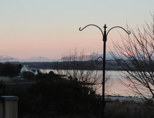January’s View’s